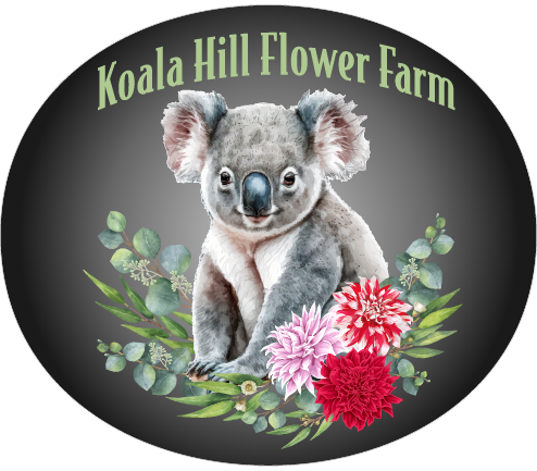 Koala Hill Flower Farm