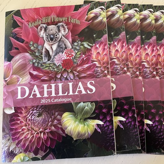 2025 Printed Catalogue - Free Post - Image 2