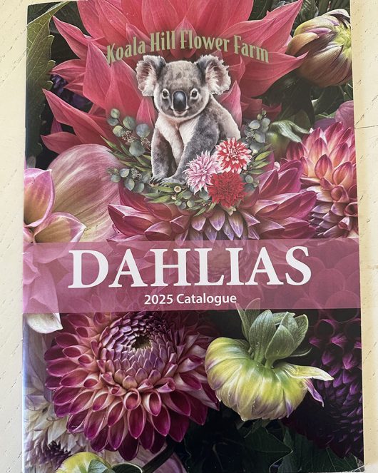 2025 Printed Catalogue - Free Post
